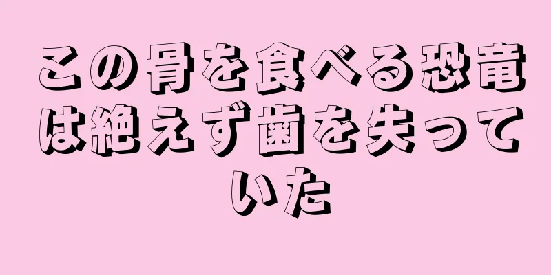 この骨を食べる恐竜は絶えず歯を失っていた