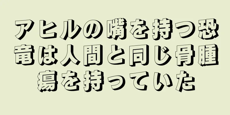 アヒルの嘴を持つ恐竜は人間と同じ骨腫瘍を持っていた
