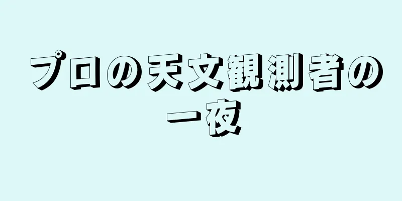 プロの天文観測者の一夜