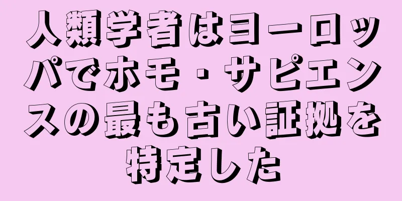 人類学者はヨーロッパでホモ・サピエンスの最も古い証拠を特定した