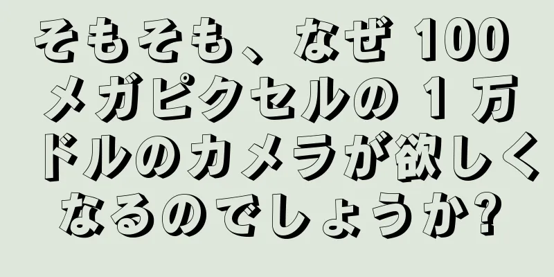 そもそも、なぜ 100 メガピクセルの 1 万ドルのカメラが欲しくなるのでしょうか?