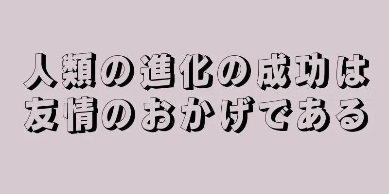 人類の進化の成功は友情のおかげである