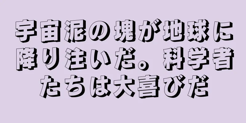 宇宙泥の塊が地球に降り注いだ。科学者たちは大喜びだ