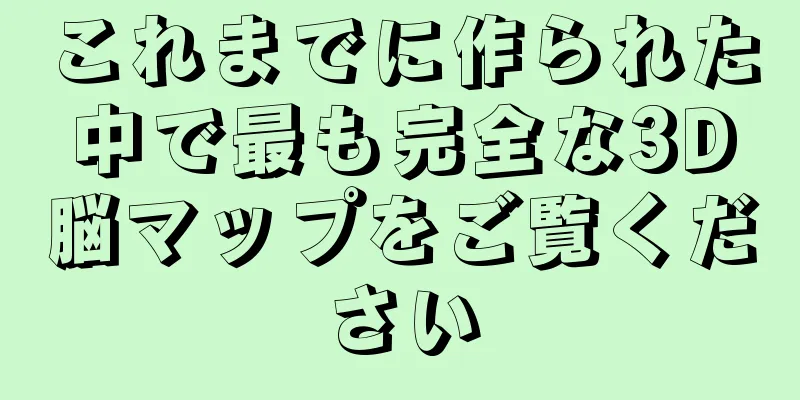 これまでに作られた中で最も完全な3D脳マップをご覧ください