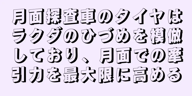 月面探査車のタイヤはラクダのひづめを模倣しており、月面での牽引力を最大限に高める