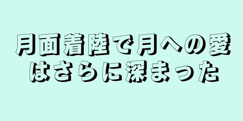月面着陸で月への愛はさらに深まった