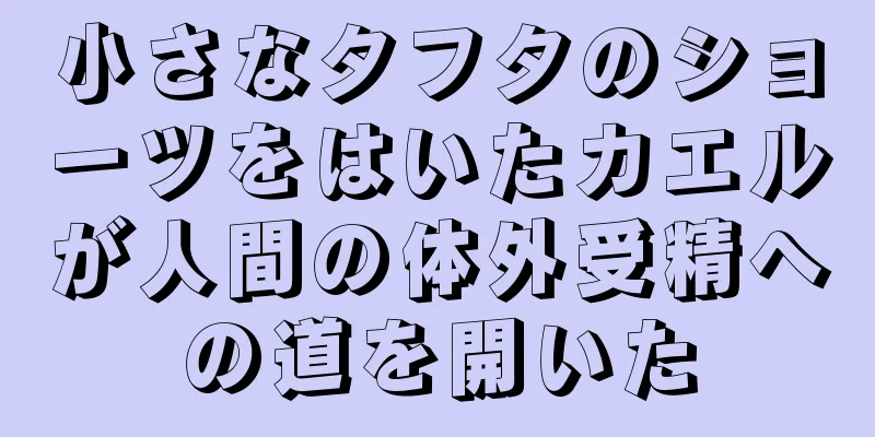 小さなタフタのショーツをはいたカエルが人間の体外受精への道を開いた