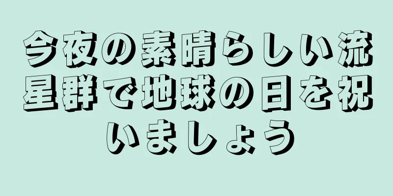 今夜の素晴らしい流星群で地球の日を祝いましょう
