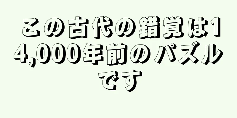 この古代の錯覚は14,000年前のパズルです