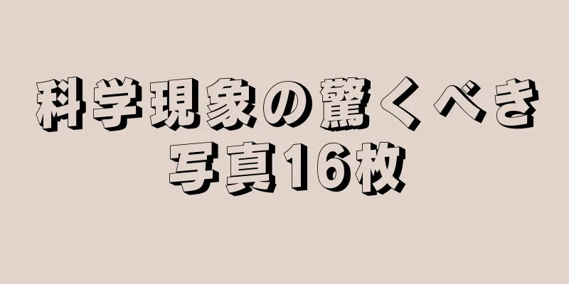 科学現象の驚くべき写真16枚