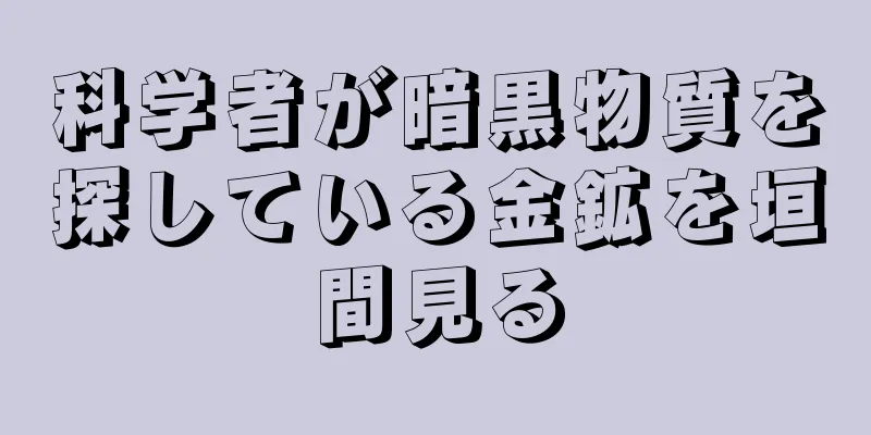 科学者が暗黒物質を探している金鉱を垣間見る
