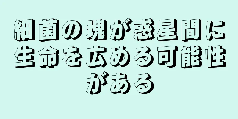 細菌の塊が惑星間に生命を広める可能性がある