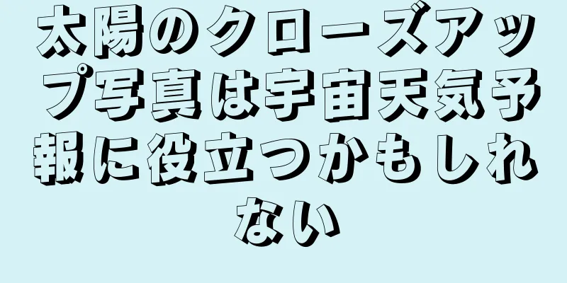 太陽のクローズアップ写真は宇宙天気予報に役立つかもしれない