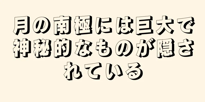 月の南極には巨大で神秘的なものが隠されている