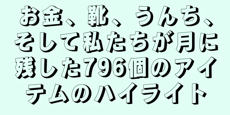 お金、靴、うんち、そして私たちが月に残した796個のアイテムのハイライト