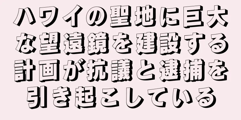 ハワイの聖地に巨大な望遠鏡を建設する計画が抗議と逮捕を引き起こしている