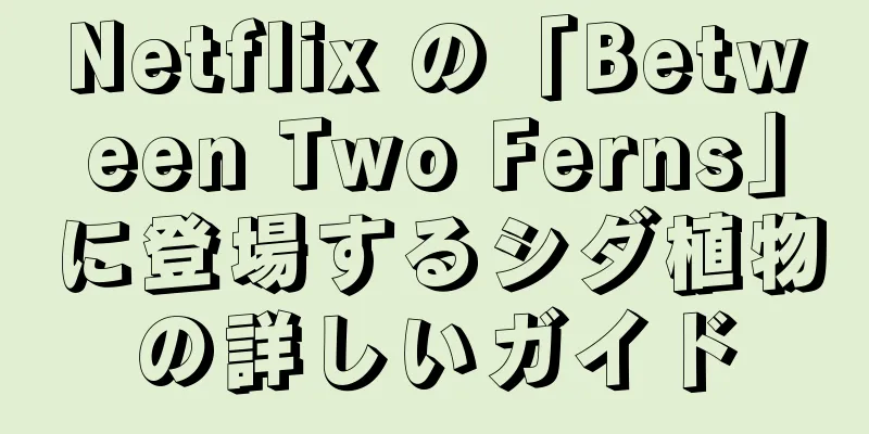 Netflix の「Between Two Ferns」に登場するシダ植物の詳しいガイド