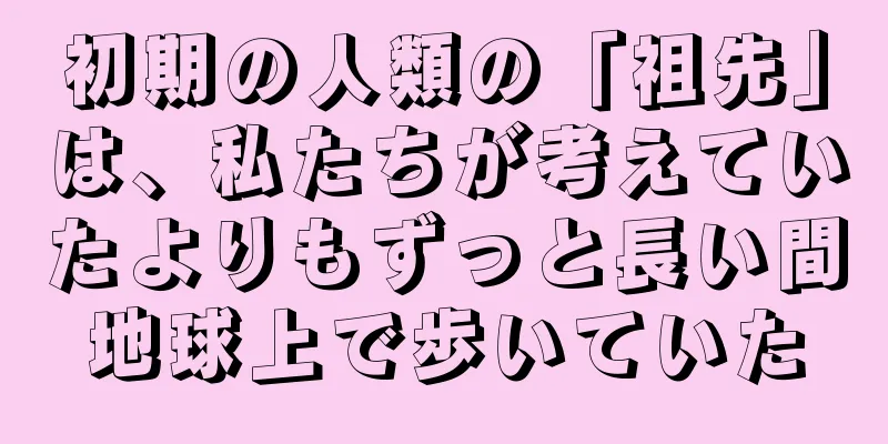 初期の人類の「祖先」は、私たちが考えていたよりもずっと長い間地球上で歩いていた