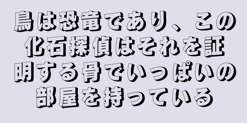 鳥は恐竜であり、この化石探偵はそれを証明する骨でいっぱいの部屋を持っている