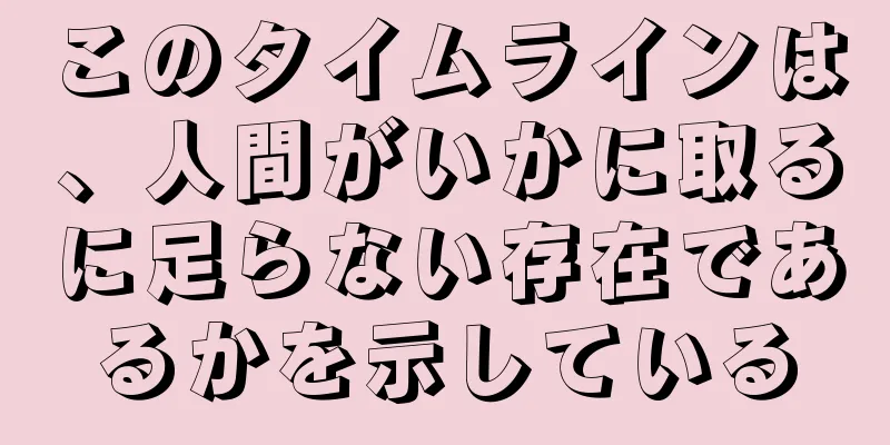 このタイムラインは、人間がいかに取るに足らない存在であるかを示している