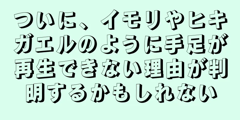 ついに、イモリやヒキガエルのように手足が再生できない理由が判明するかもしれない
