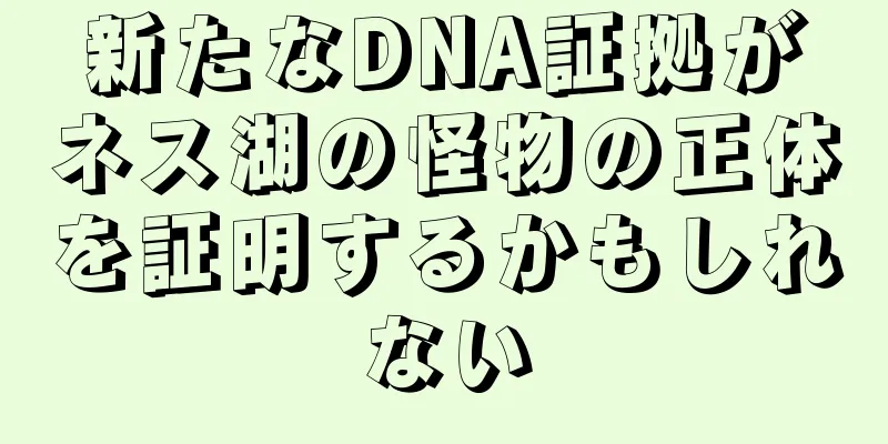 新たなDNA証拠がネス湖の怪物の正体を証明するかもしれない