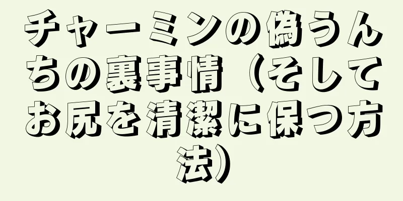 チャーミンの偽うんちの裏事情（そしてお尻を清潔に保つ方法）