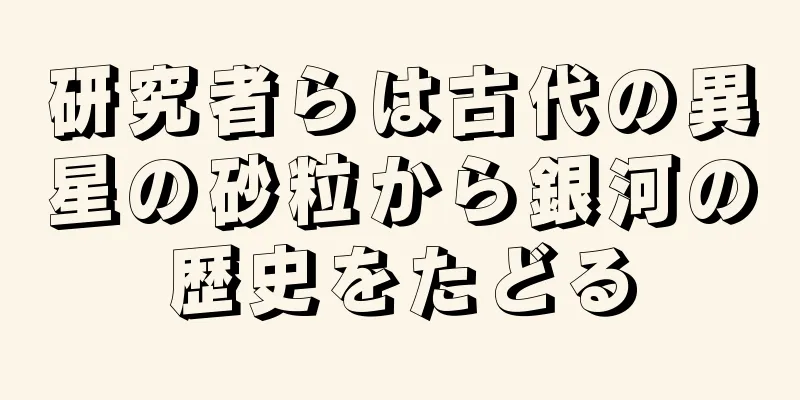 研究者らは古代の異星の砂粒から銀河の歴史をたどる