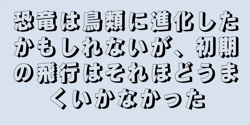 恐竜は鳥類に進化したかもしれないが、初期の飛行はそれほどうまくいかなかった