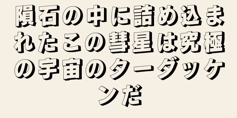 隕石の中に詰め込まれたこの彗星は究極の宇宙のターダッケンだ