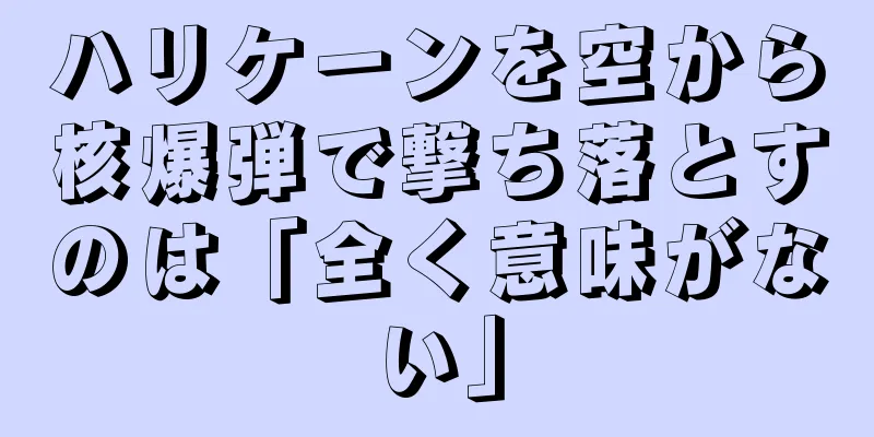 ハリケーンを空から核爆弾で撃ち落とすのは「全く意味がない」