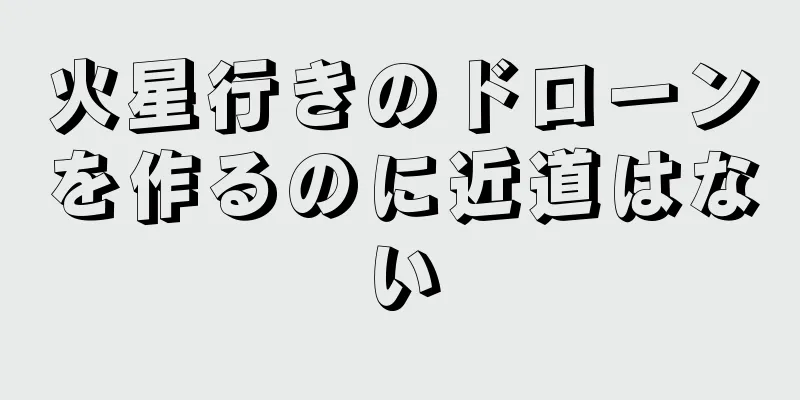 火星行きのドローンを作るのに近道はない