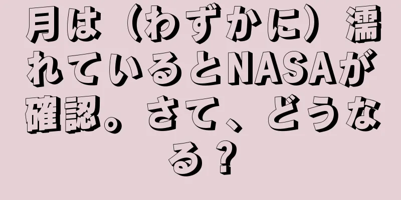 月は（わずかに）濡れているとNASAが確認。さて、どうなる？