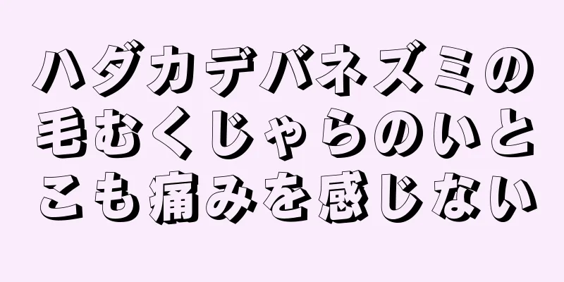 ハダカデバネズミの毛むくじゃらのいとこも痛みを感じない