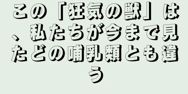 この「狂気の獣」は、私たちが今まで見たどの哺乳類とも違う