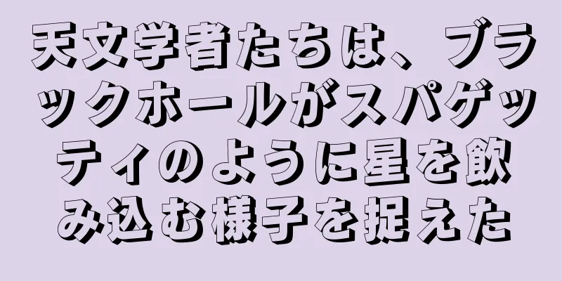 天文学者たちは、ブラックホールがスパゲッティのように星を飲み込む様子を捉えた