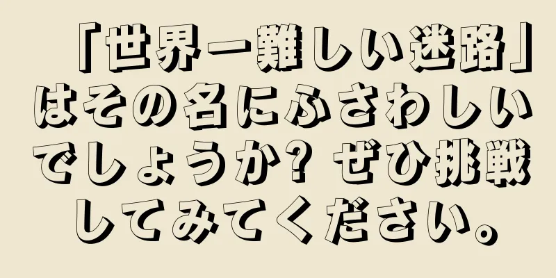 「世界一難しい迷路」はその名にふさわしいでしょうか? ぜひ挑戦してみてください。