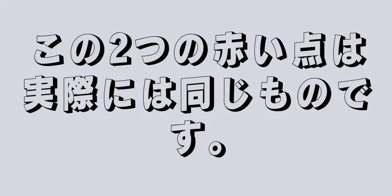 この2つの赤い点は実際には同じものです。