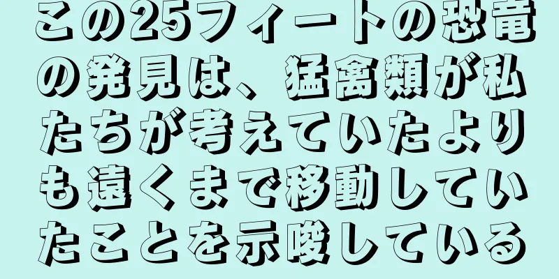 この25フィートの恐竜の発見は、猛禽類が私たちが考えていたよりも遠くまで移動していたことを示唆している