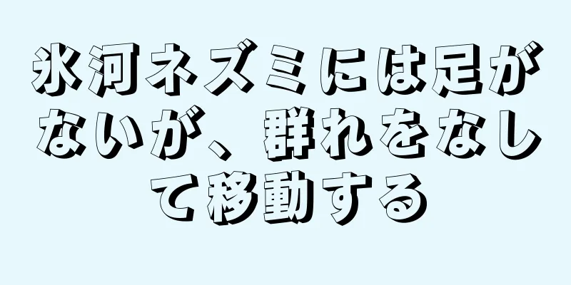 氷河ネズミには足がないが、群れをなして移動する