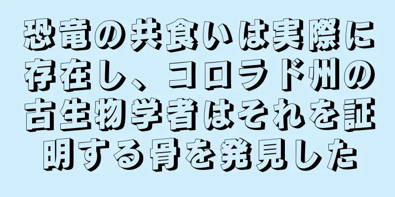 恐竜の共食いは実際に存在し、コロラド州の古生物学者はそれを証明する骨を発見した