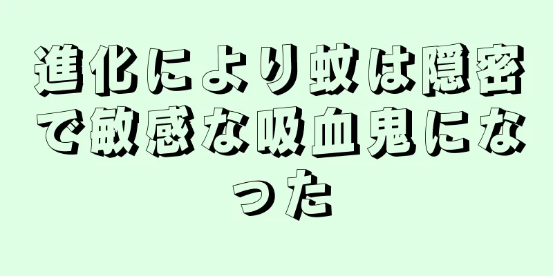 進化により蚊は隠密で敏感な吸血鬼になった