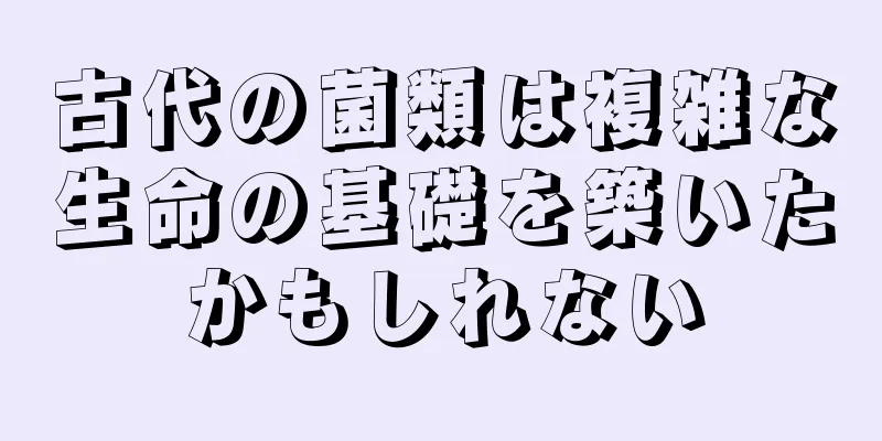 古代の菌類は複雑な生命の基礎を築いたかもしれない