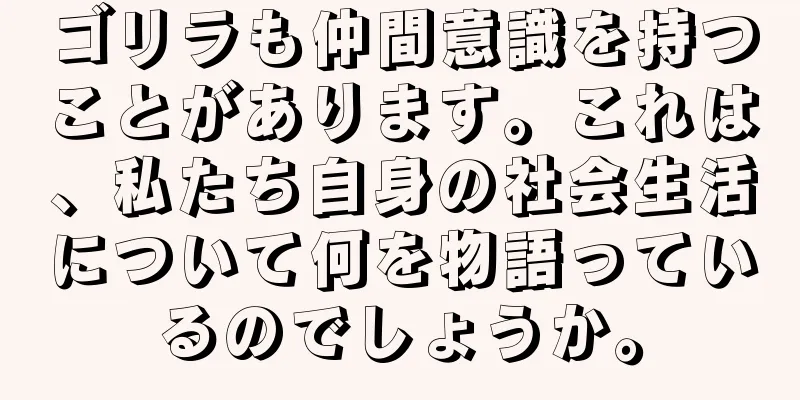 ゴリラも仲間意識を持つことがあります。これは、私たち自身の社会生活について何を物語っているのでしょうか。
