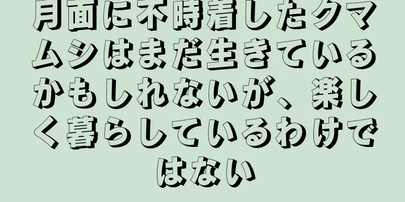 月面に不時着したクマムシはまだ生きているかもしれないが、楽しく暮らしているわけではない