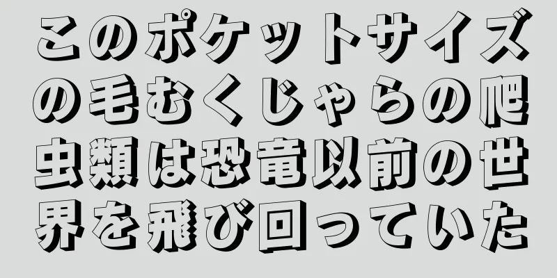 このポケットサイズの毛むくじゃらの爬虫類は恐竜以前の世界を飛び回っていた