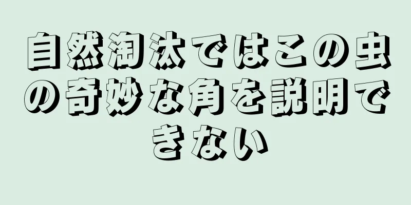 自然淘汰ではこの虫の奇妙な角を説明できない