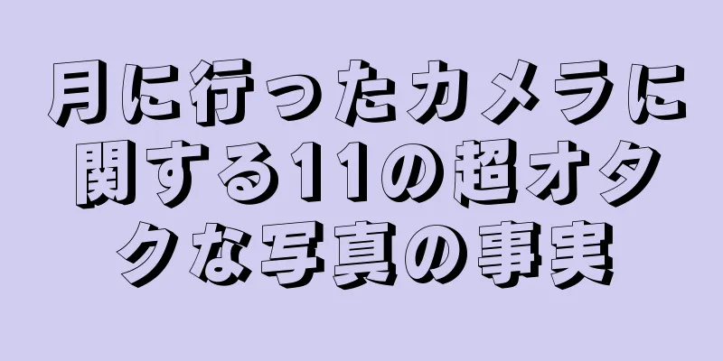 月に行ったカメラに関する11の超オタクな写真の事実