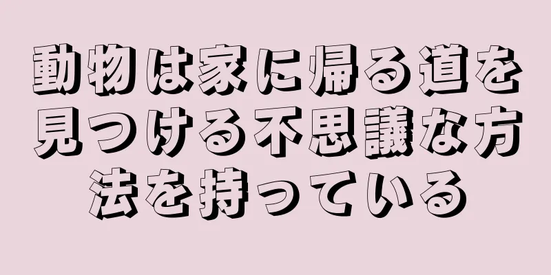 動物は家に帰る道を見つける不思議な方法を持っている
