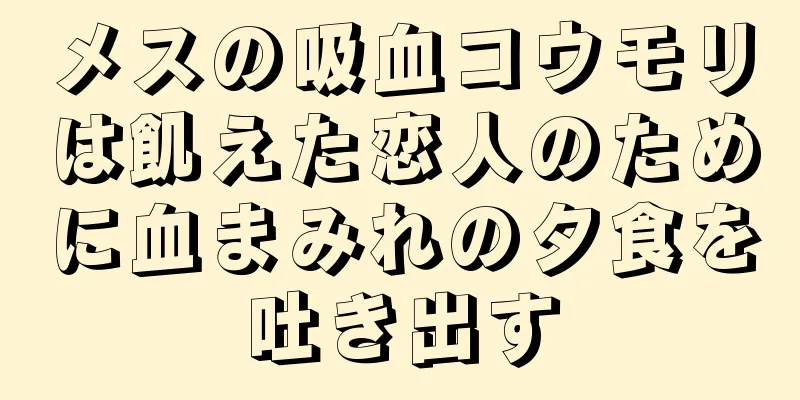 メスの吸血コウモリは飢えた恋人のために血まみれの夕食を吐き出す